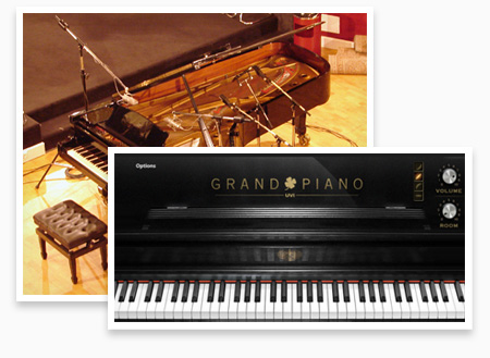 UVI Grand Piano Collection | Steinway D