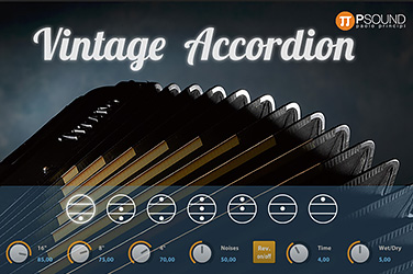 Vintage Accordion