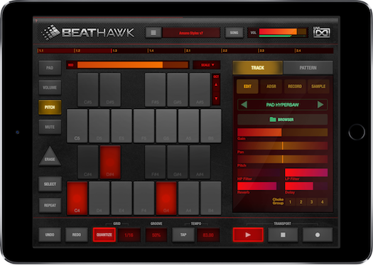 BeatHawk iPad Screen