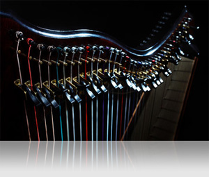 UVI IRCAM Solo Instruments | Plucked Strings 