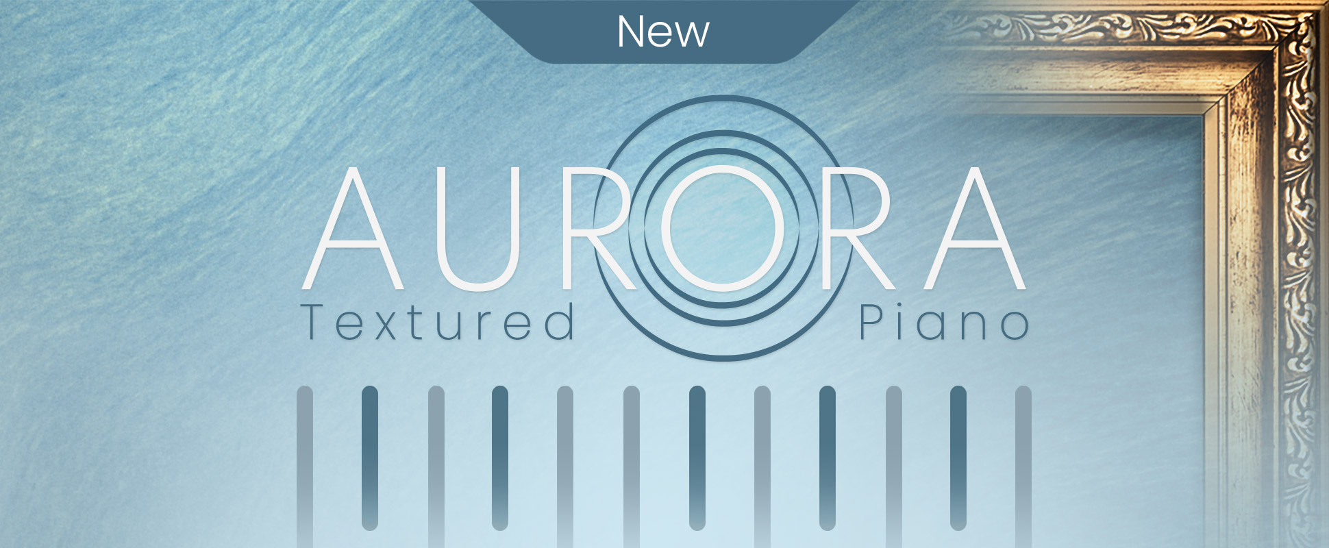 Aurora - New - Feb 2024