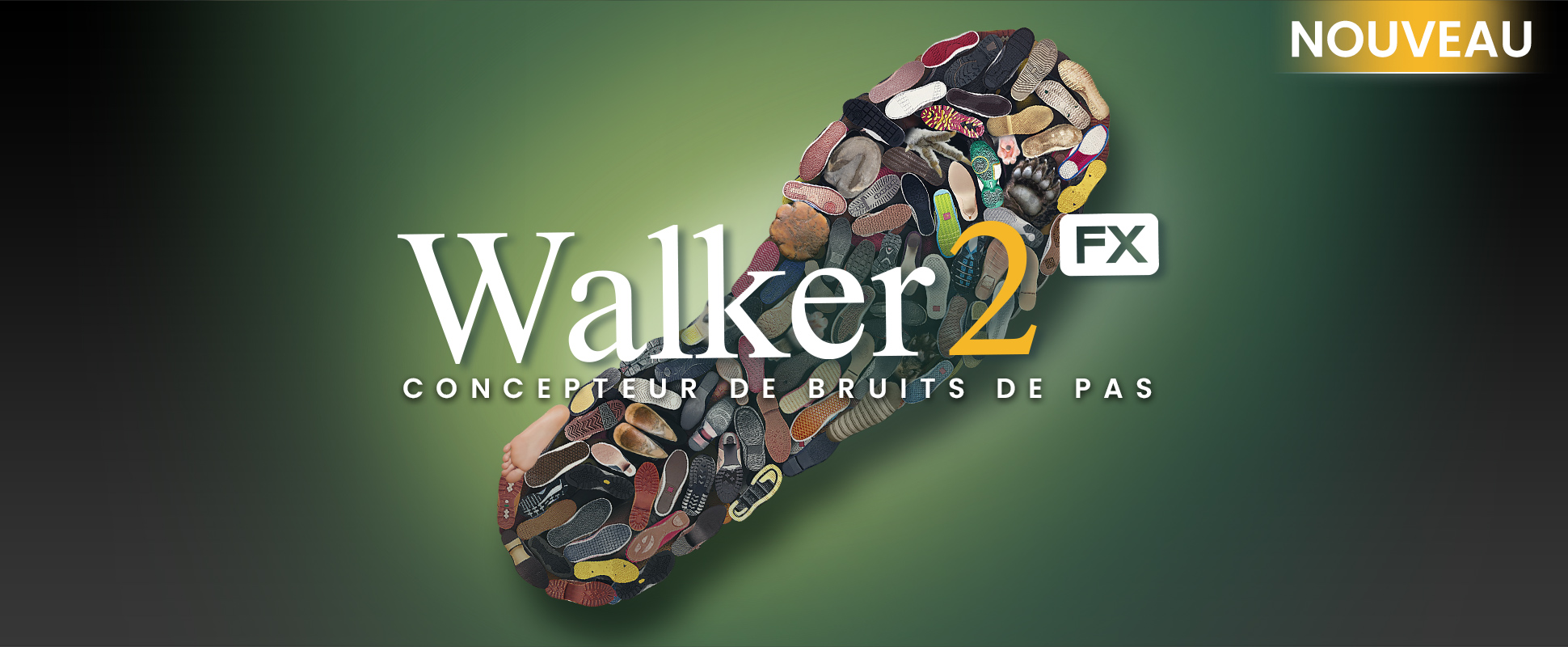 Introducing Walker 2